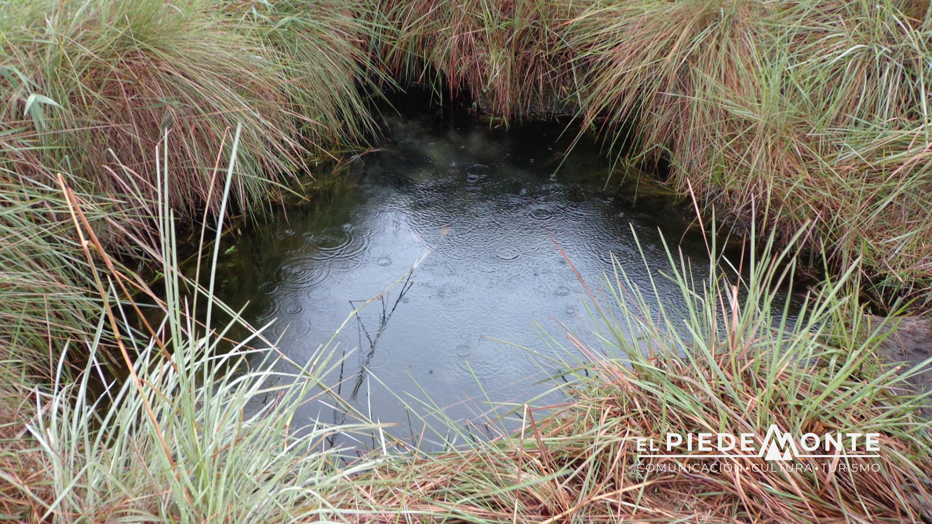 Manuel Antonio Martínez Sogamoso